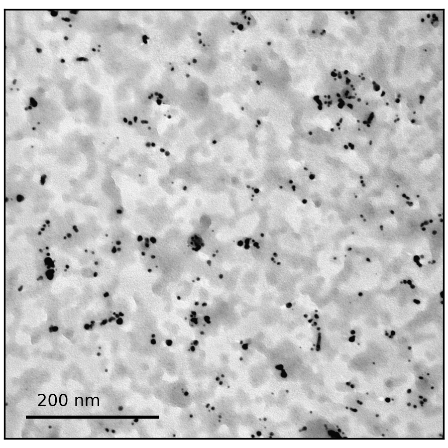 Au nanoparticles
