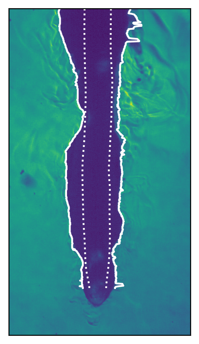 Temporal evolution of the vapor layer