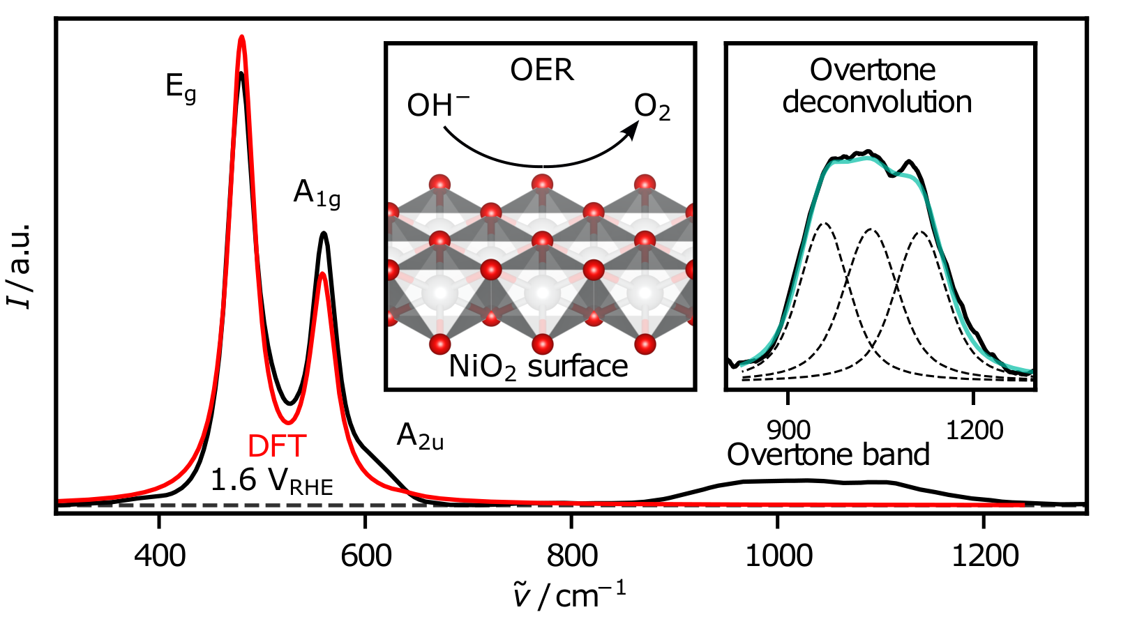 Experimental SE and DFT computed Raman spectrum of \ce{NiO2}, including the overtone region and a 3D ball model. (kindly provided by Justus Leist)