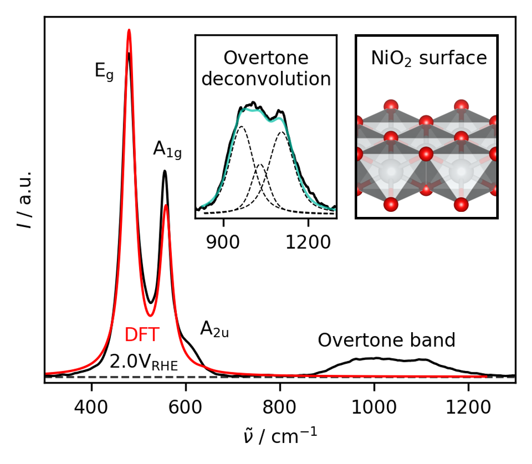 Experimental SE and DFT computed Raman spectrum of \ce{NiO2}, including the overtone region and a 3D ball model. (kindly provided by Justus Leist)